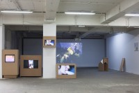 https://salonuldeproiecte.ro/files/gimgs/th-19_18_ Cristina Amelia Cândea - Four experiments in search of an artist, 2014 instalație video.jpg
